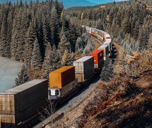 Train carrying shipping containers passing through forrest in the mountains.